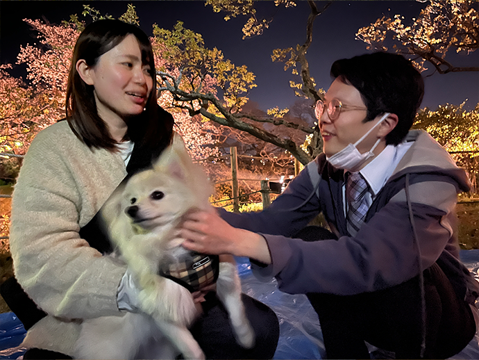 ペットと一緒に夜のお花見