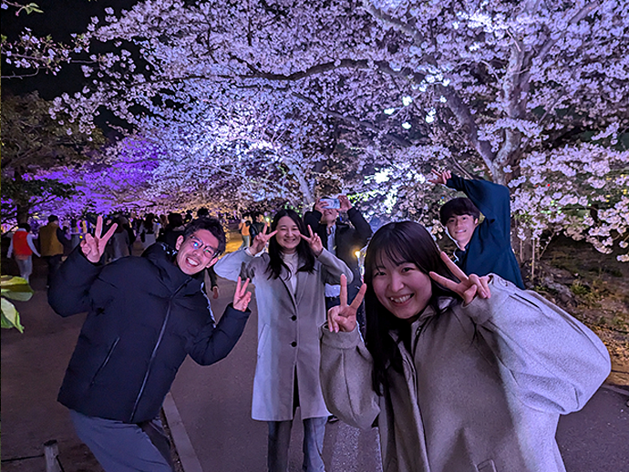 福岡城桜祭り（夜）